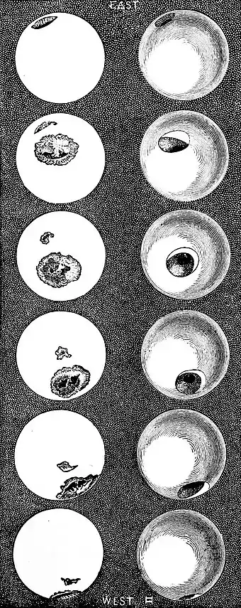 PSM V01 D155 Sun spots.jpg