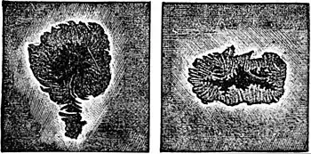 PSM V01 D156 Solar spots.jpg