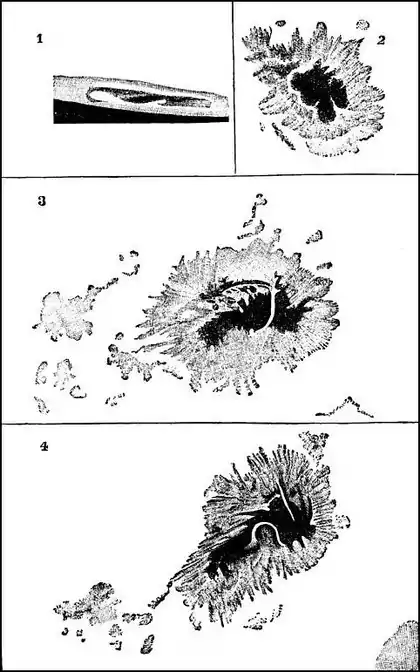 PSM V01 D166 Solar spots.jpg