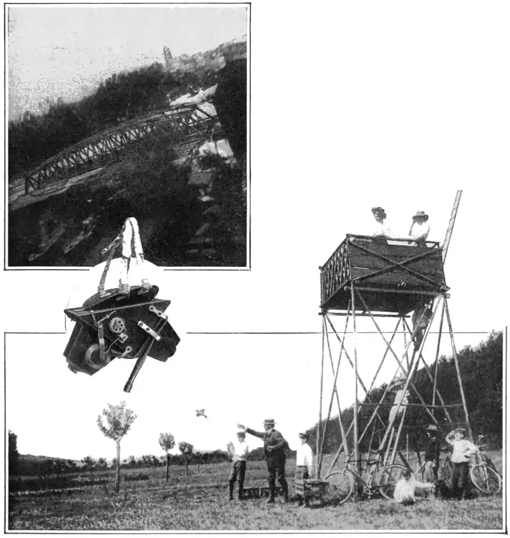 image of the releasing of a carrier pigeon