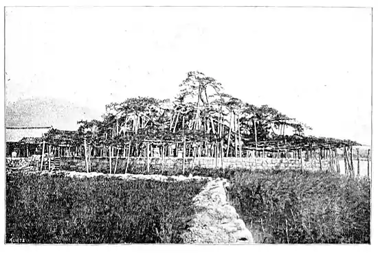 P 219--Jinrikisha days in Japan.jpg