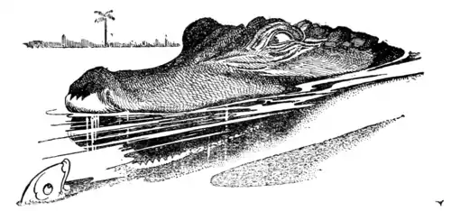 Page 021 Alice's Adventures in Wonderland (Carrol, Robinson, 1907).png