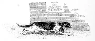 Page 66 illustration in The Fireside Sphinx.png