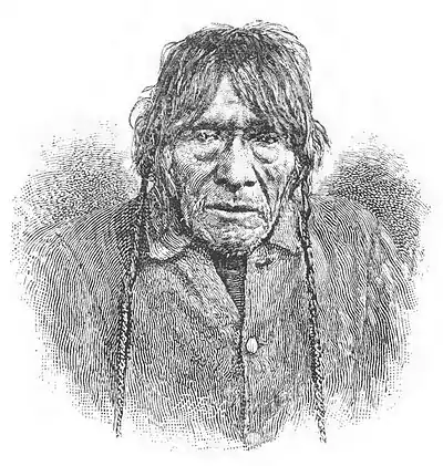 Click on image to enlarge.