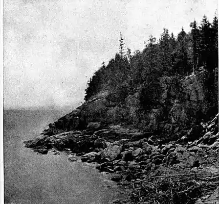 Pg211--Love in Idleness.jpg