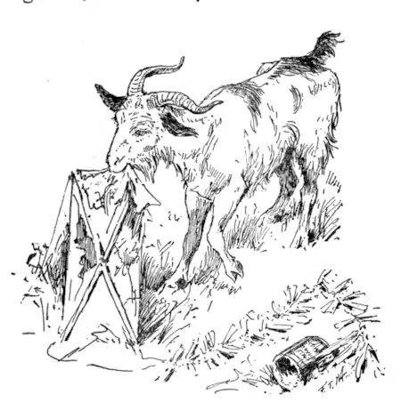 Pg 205 - Lonely O'Malley.png