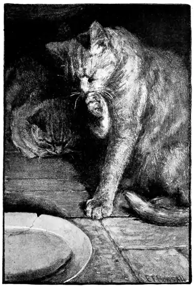 Plate 1 in The Fireside Sphinx.png