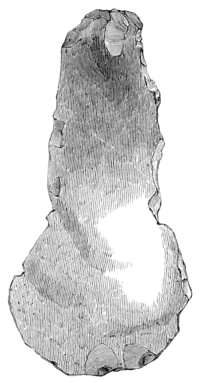 Prehistoric Times - Fig 113.png