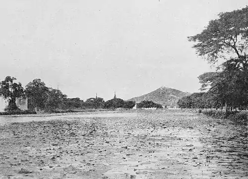Fig. 9. Mandalay Hill, and water-lilies on the moat.