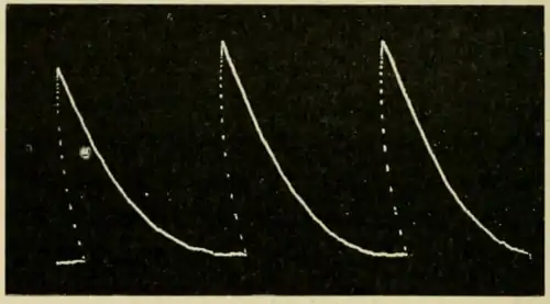 Researches on Irritability of Plants, fig. 10.png