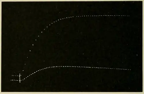 Researches on Irritability of Plants, fig. 12.png