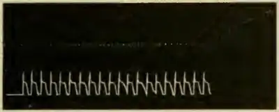 Researches on Irritability of Plants, fig. 23.png