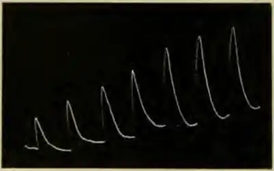 Researches on Irritability of Plants, fig. 29.png