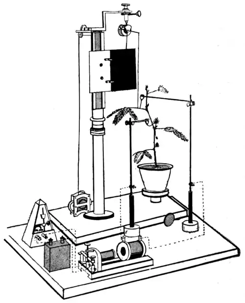 Researches on Irritability of Plants, fig. 4.png