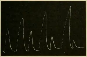 Researches on Irritability of Plants, fig. 40.png