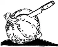 Rootabaga Pigeons - Story 19 endpiece p179.png