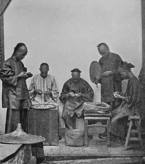 SCHROFFING DOLLARS.jpg