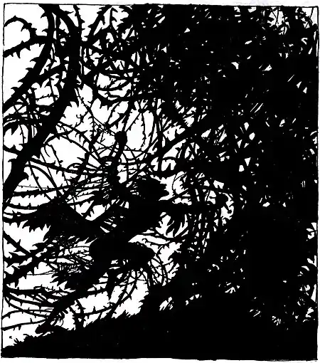 Sleeping Beauty-Evans-Rackham-082.jpg