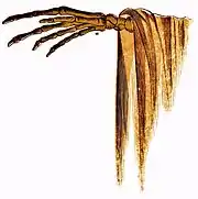 Spectropia, or, Surprising spectral illusions pg 33.jpg