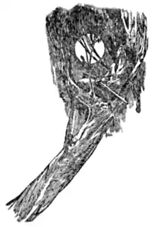 The Beasts of Tarzan - p 209.png