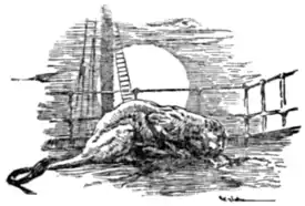 The Beasts of Tarzan - p 269.png