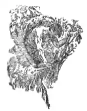 The Beasts of Tarzan - p 290.png