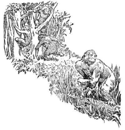 The Beasts of Tarzan - p 52.png