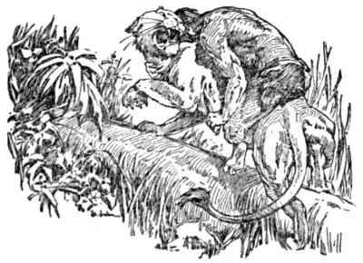 The Beasts of Tarzan - p 53.png