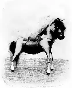 The Chinese Boy and Girl page 106a.png