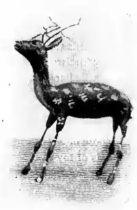 The Chinese Boy and Girl page 106b.png