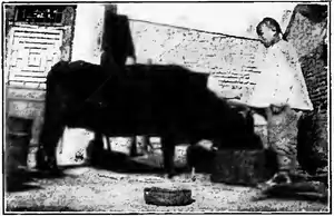 The Chinese Boy and Girl page 26.png