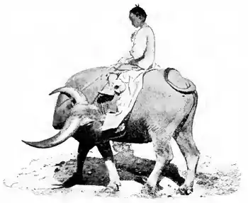 The Chinese Boy and Girl page 45.png