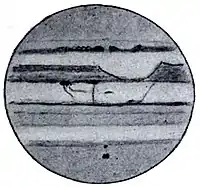 The Evolution of Worlds 0133.jpg