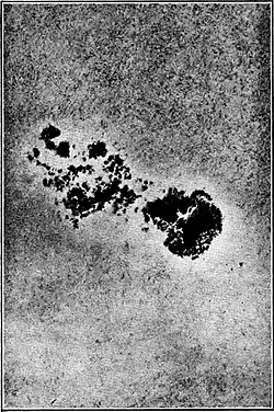 The Evolution of Worlds 0202.jpg