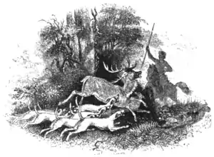 The Mabinogion page 368.png