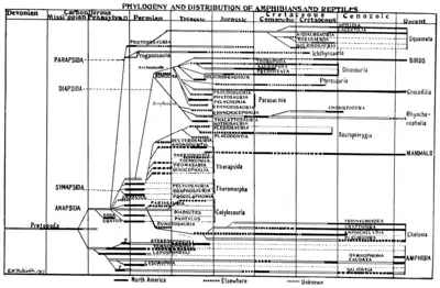 The Osteology of the Reptiles p209.png