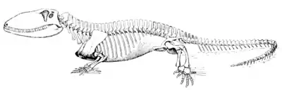 The Osteology of the Reptiles p232.png