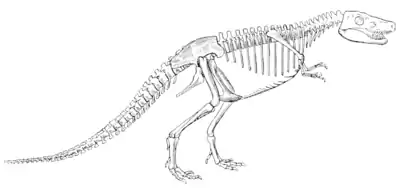 The Osteology of the Reptiles p292.png