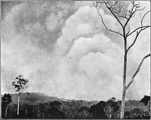 The Periplus of Hanno - Native method of clearing the ground for the planting of crops.png