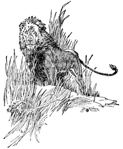 The Son of Tarzan - Numa the lion.png