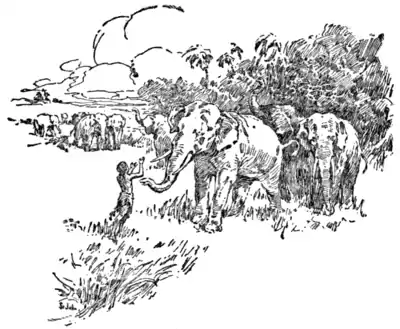 The Son of Tarzan - Peace, Tantor. It is I, Korak.png