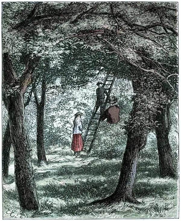 The Story of the Robins - Harriet and Frederick viewing the Robins' nest.jpg