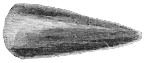 The primeval antiquities of Denmark 019a.png