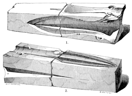 The primeval antiquities of Denmark 082.png