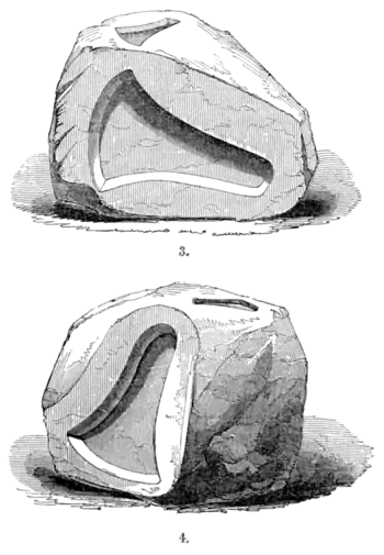 The primeval antiquities of Denmark 083.png