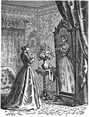 The Effects of Plane Mirrors.