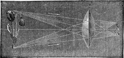 The wonders of optics - Fig 31.png