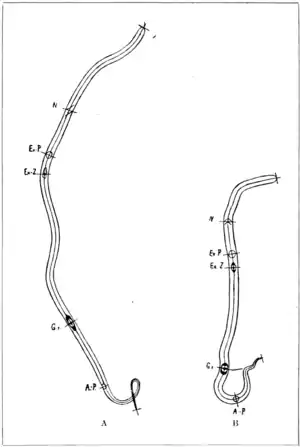 Tropical Diseases - Fig 128.png