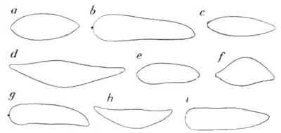 Tropical Diseases - Fig 24.png