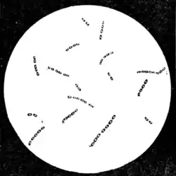 Tropical Diseases - Fig 66.png